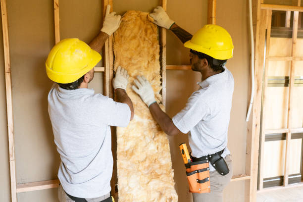 Best Insulation for New Construction  in Haskins, OH