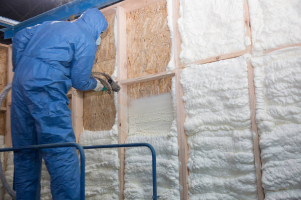 Best Soundproof Insulation  in Haskins, OH